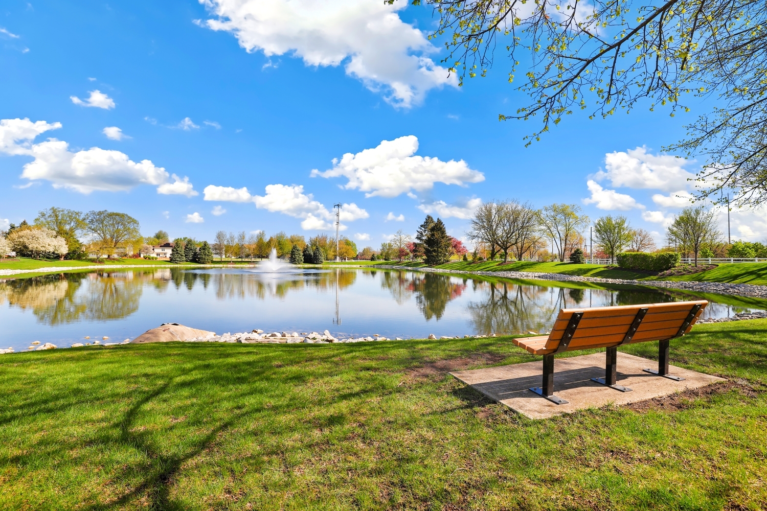 1004 Hamlet Road Naperville, IL 60564 - Photo 25 of 33