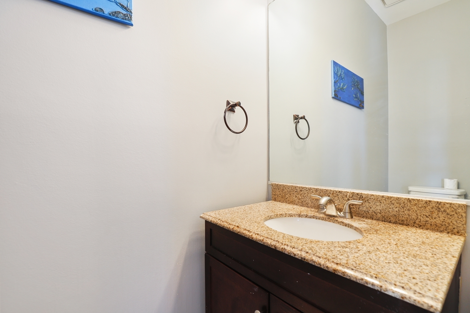 1004 Hamlet Road Naperville, IL 60564 - Photo 9 of 33