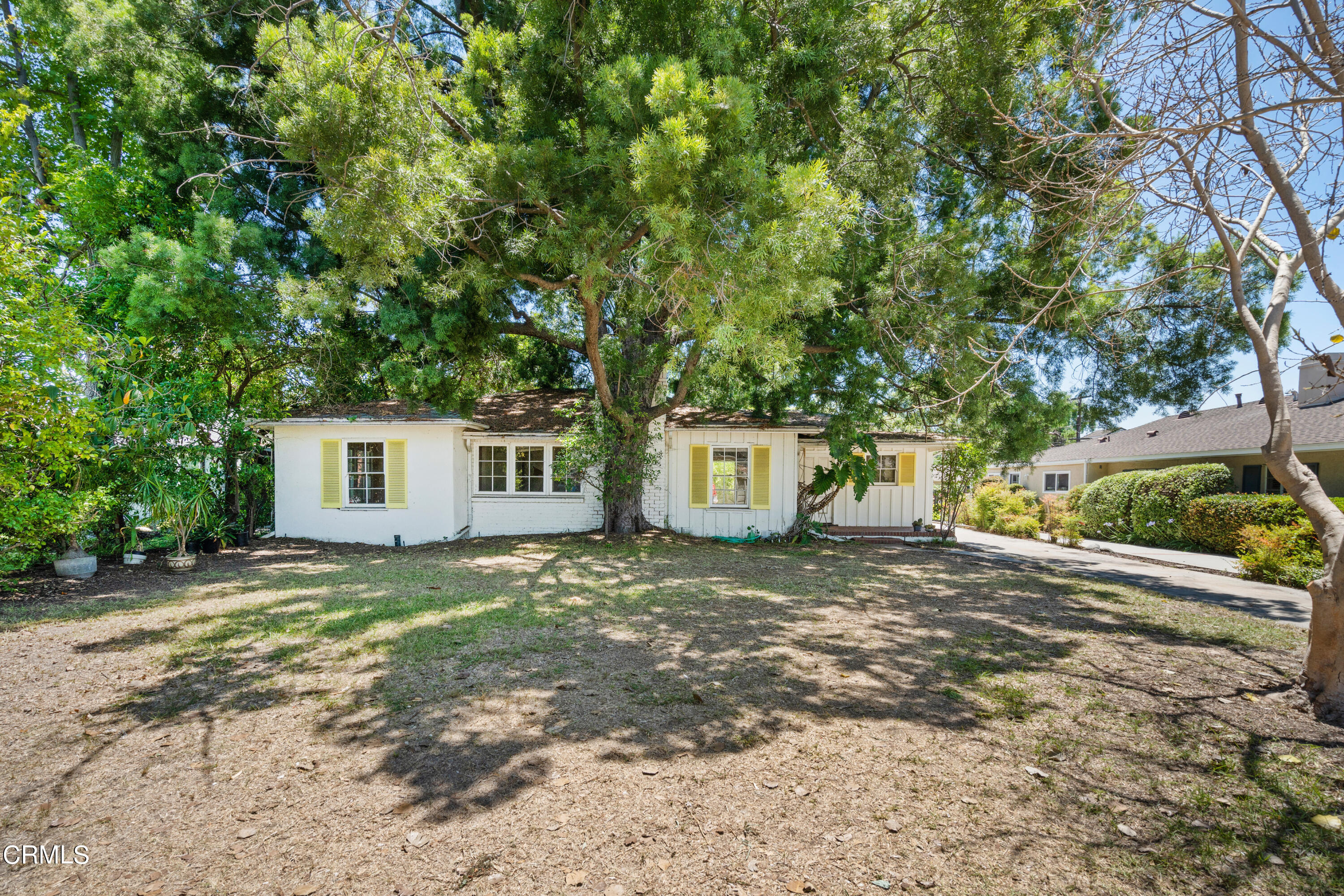 3254 Orlando Road Pasadena, CA 91107 - Photo 4 of 25 a big tree in a yard next to a house