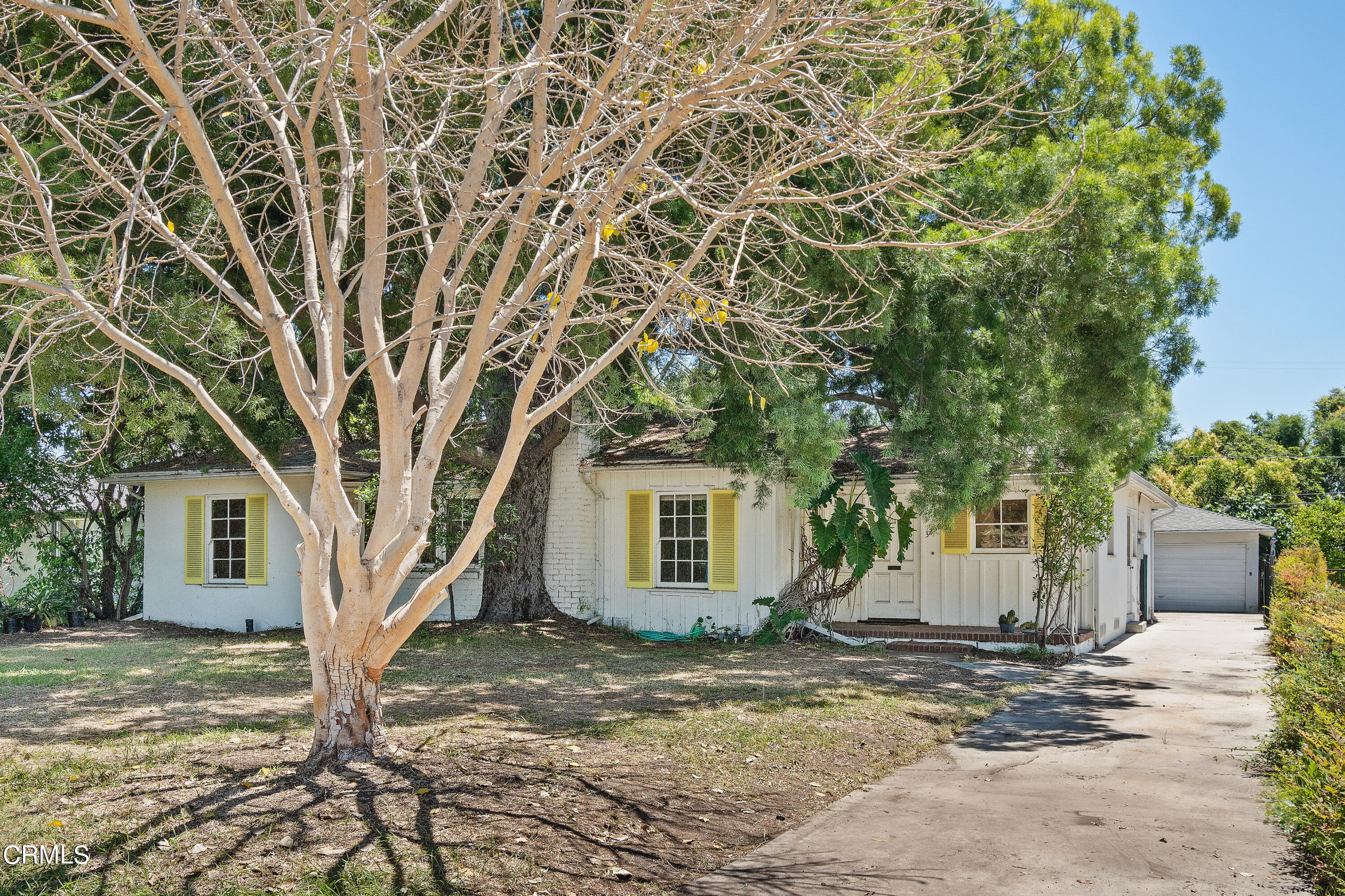 3254 Orlando Road Pasadena, CA 91107 - Photo 5 of 25 a view of a white house next to a yard with a large tree