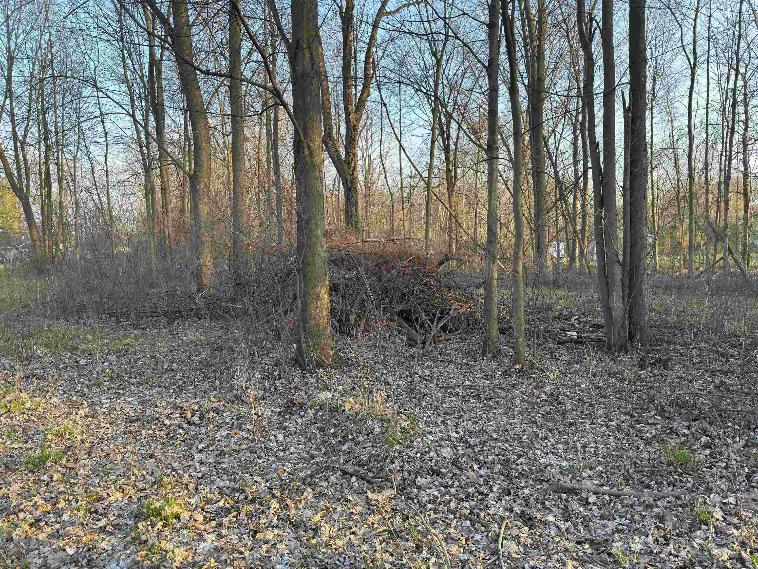 0 Bridgehampton Road Sandusky, MI 48471 - Photo 3 of 6