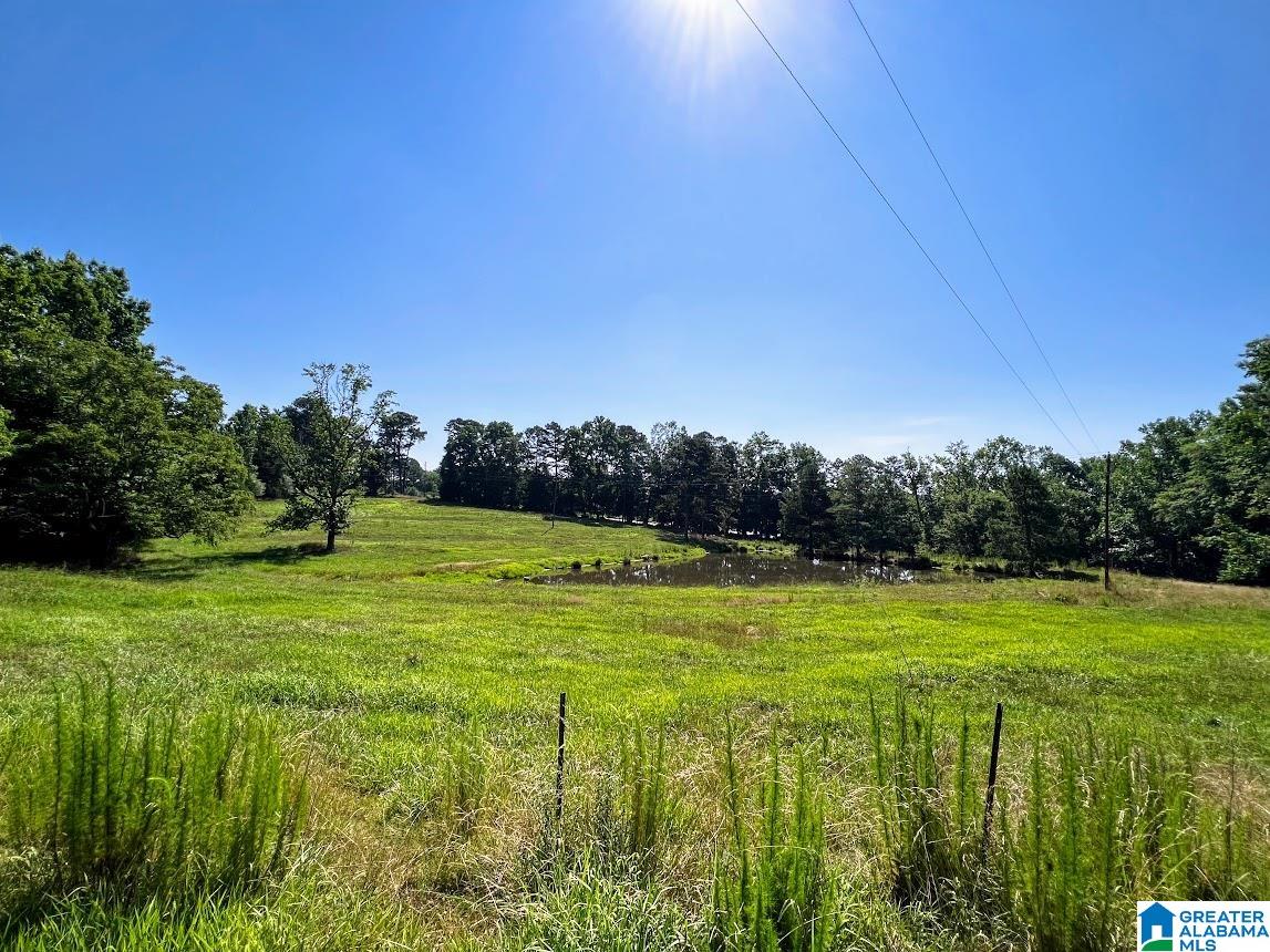 0 County Road 10, Unit X Ranburne, AL 36273 - Photo 23 of 32