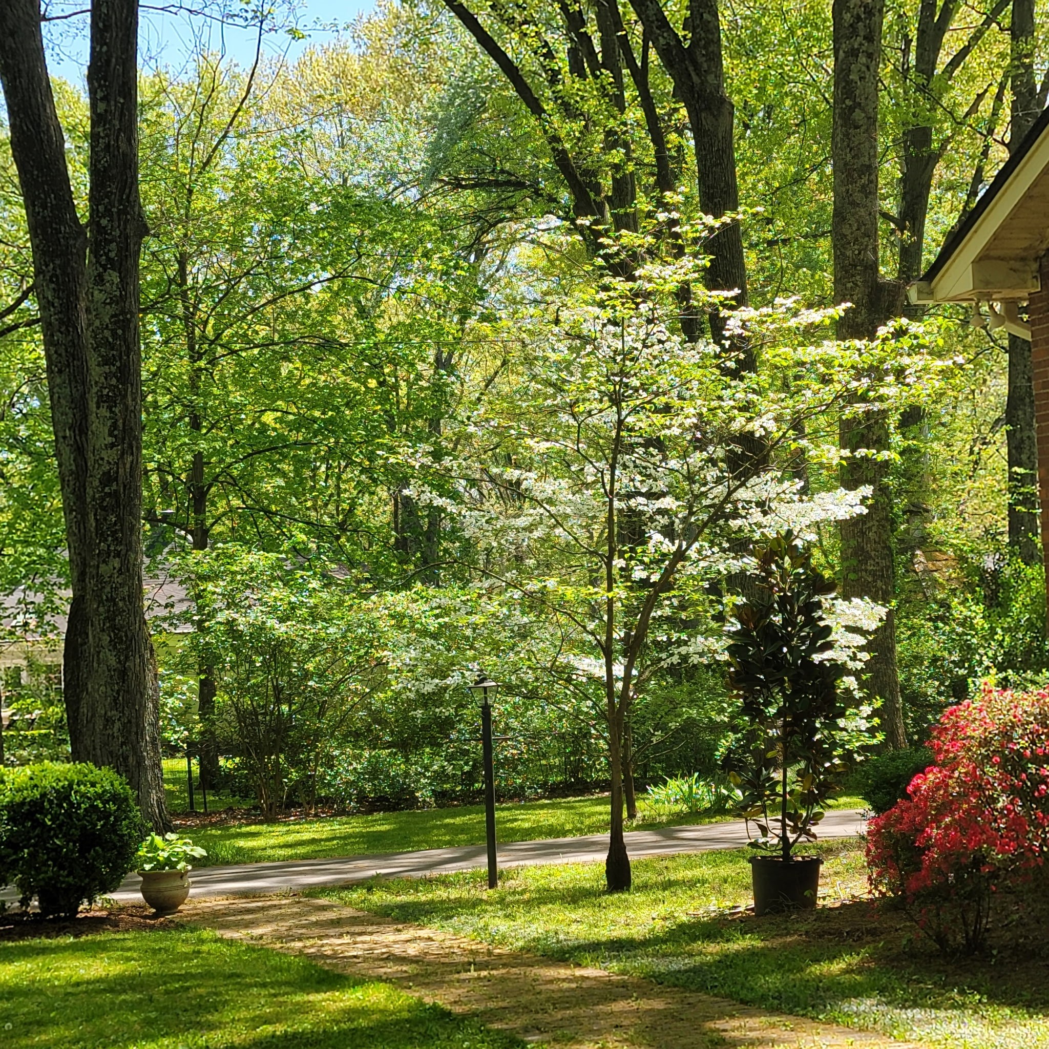 315 Gun Club Road Nashville, TN 37205 - Photo 11 of 48 Gallery Image 11