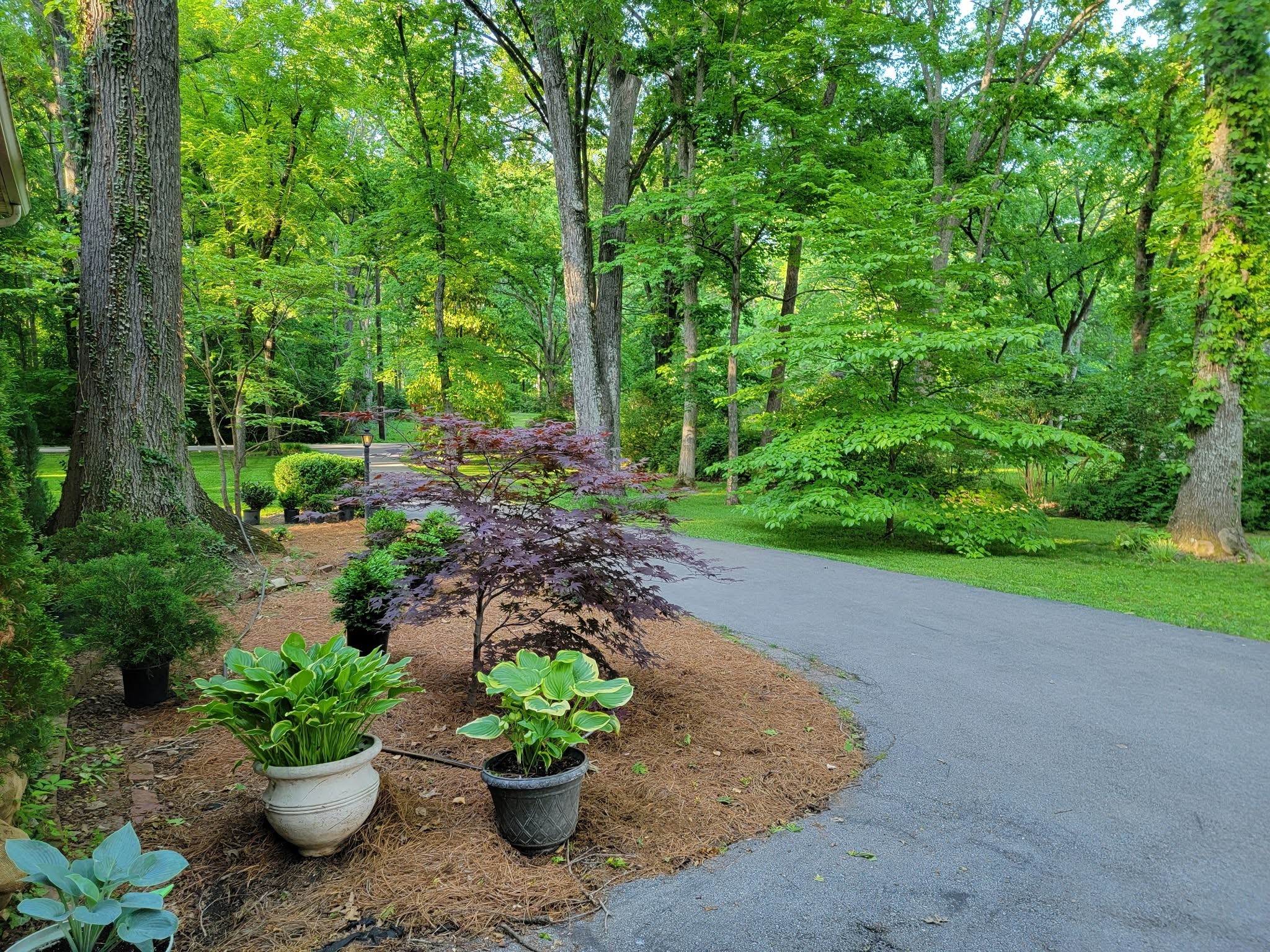 315 Gun Club Road Nashville, TN 37205 - Photo 12 of 48 Gallery Image 12