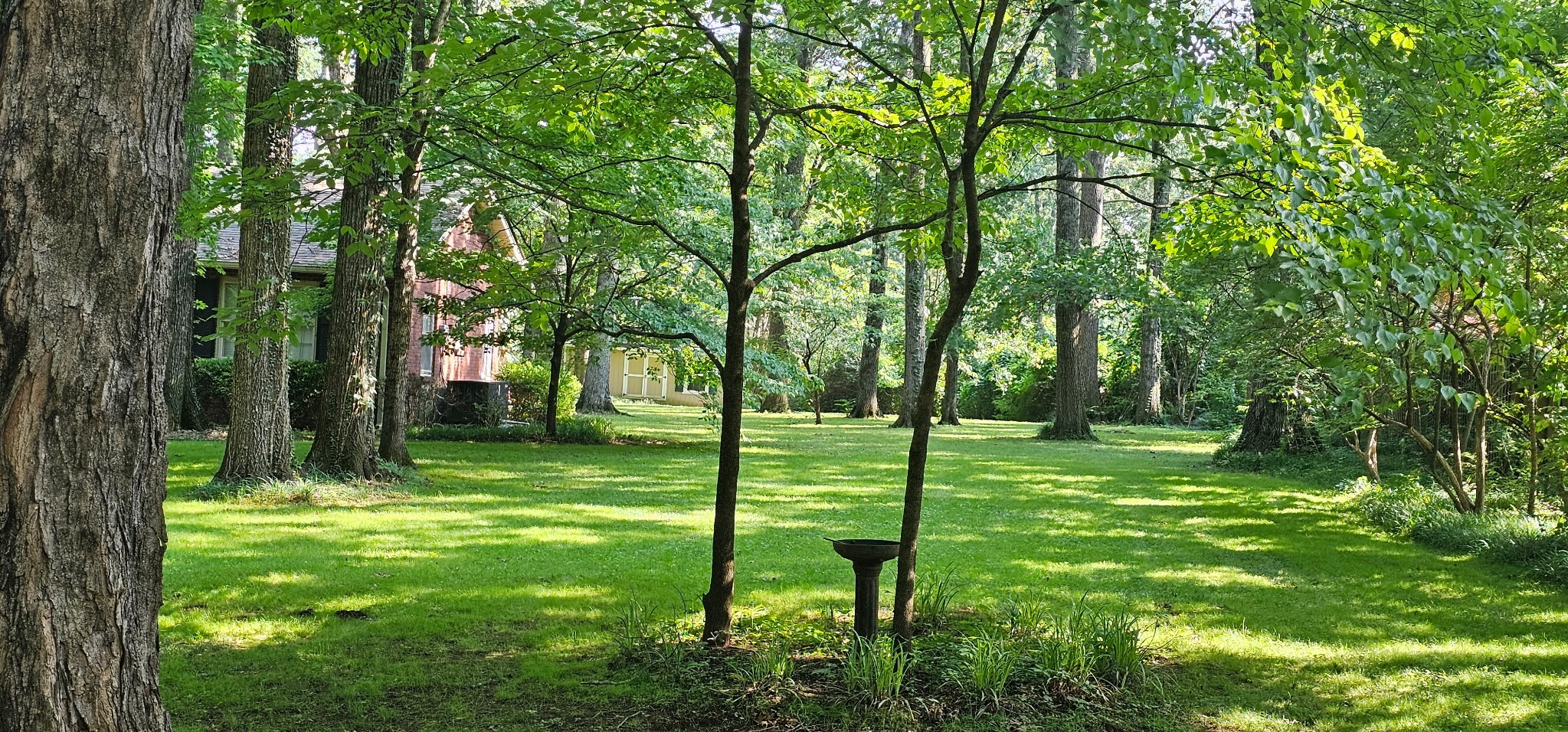 315 Gun Club Road Nashville, TN 37205 - Photo 13 of 48 Gallery Image 13