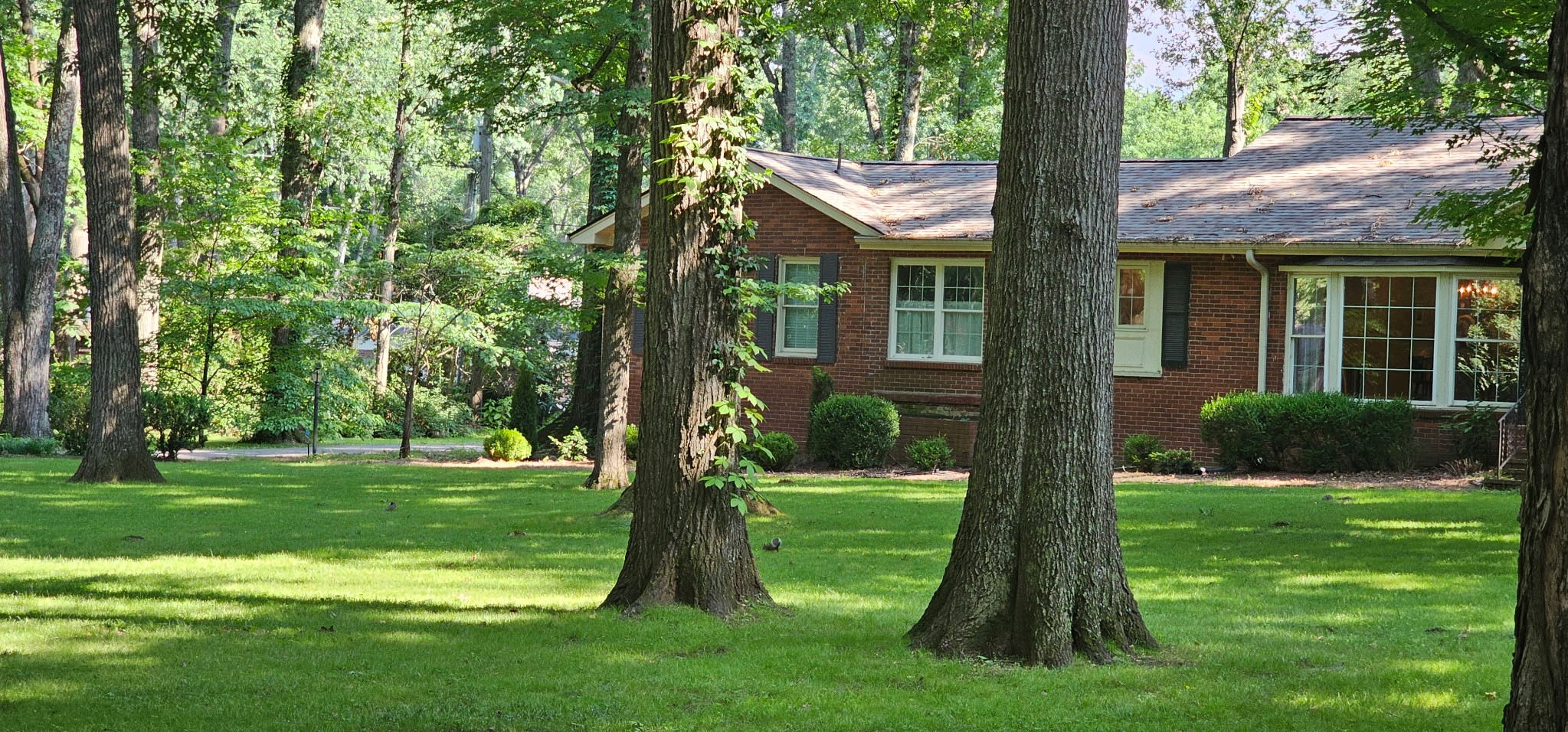 315 Gun Club Road Nashville, TN 37205 - Photo 3 of 48 Gallery Image 3