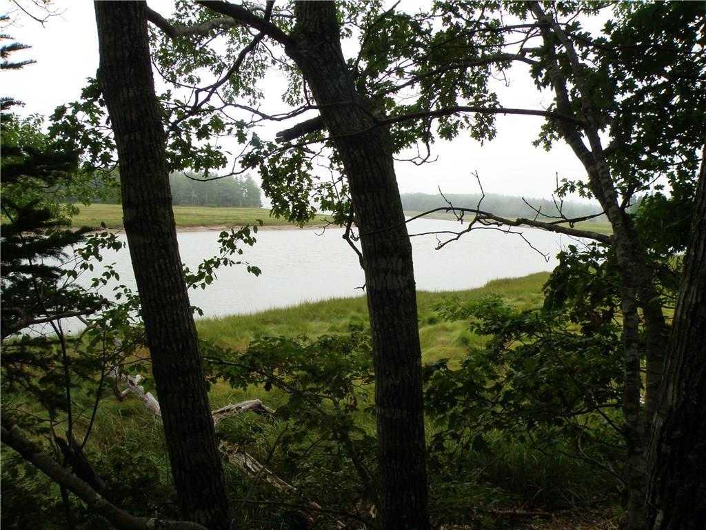 0 Flaherty Road Milbridge, ME 04658 - Photo 12 of 23 Photo