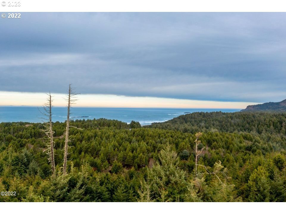 Unnamed Road Newport, OR 97365 - Photo 4 of 10 Gallery Image 4