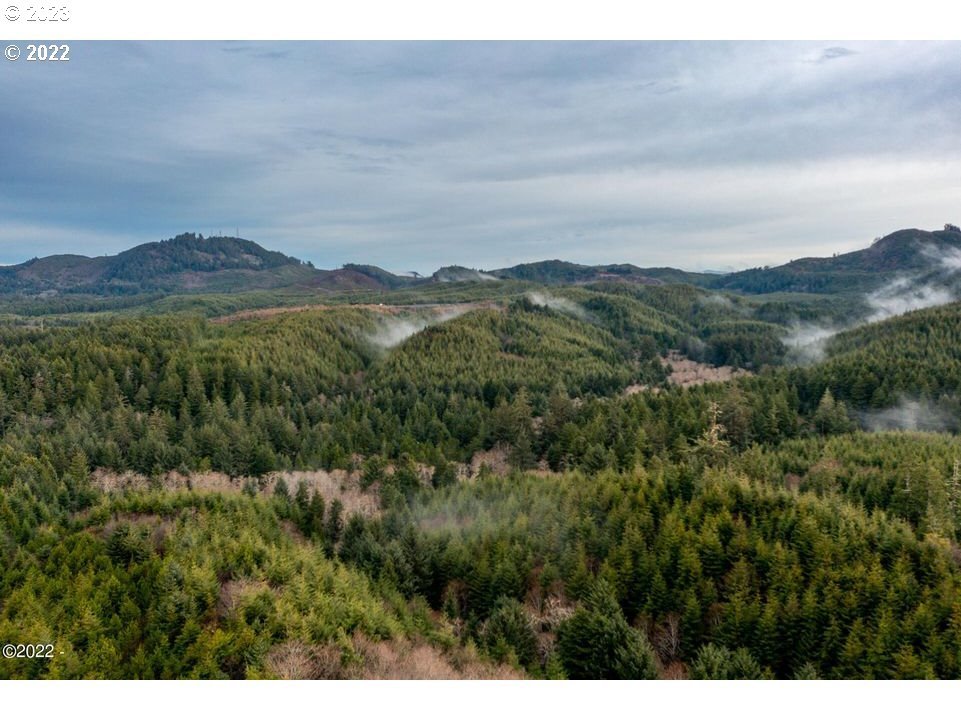 Unnamed Road Newport, OR 97365 - Photo 6 of 10 Gallery Image 6