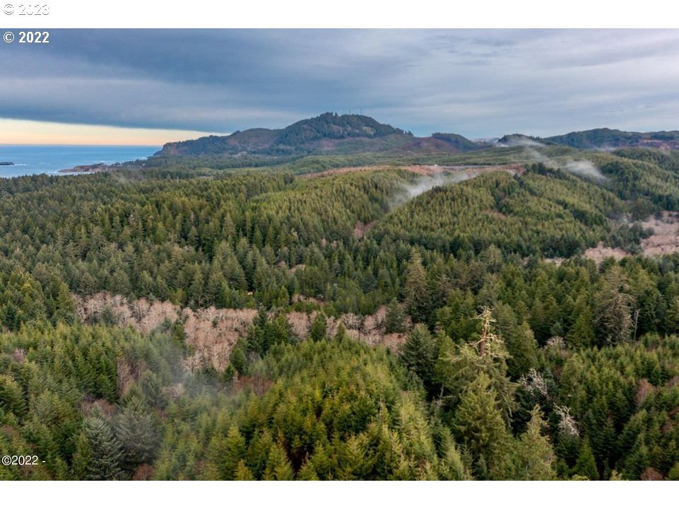 Unnamed Road Newport, OR 97365 - Photo 7 of 10 Gallery Image 7