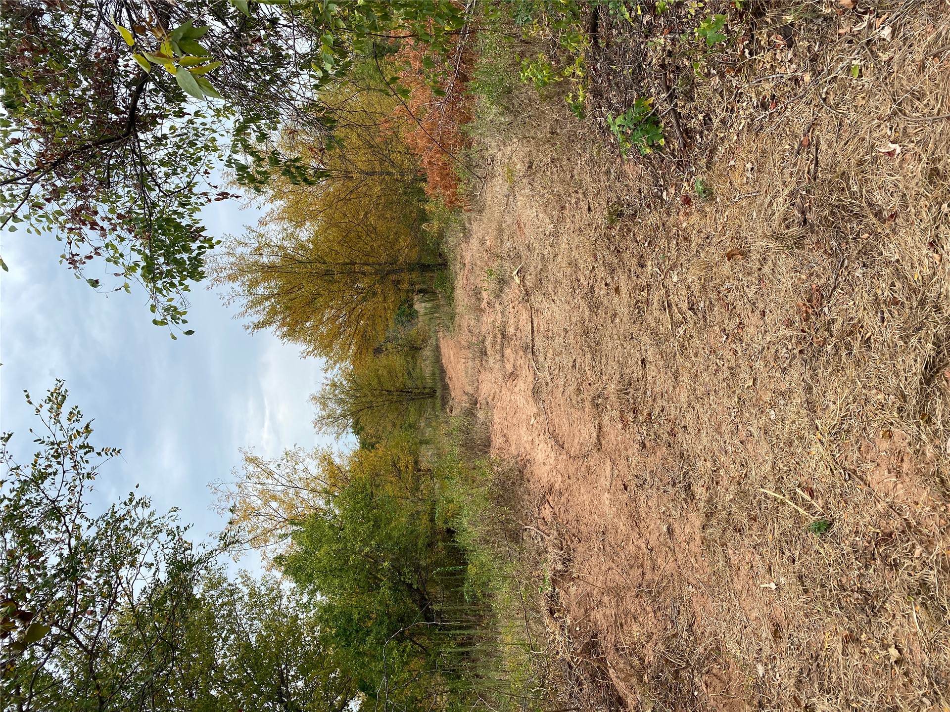 0 Mac Frazier Road Leon, OK 73441 - Photo 18 of 28 Expansive natural landscape featuring a cleared pathway, varied foliage, and mature trees with seasonal colors