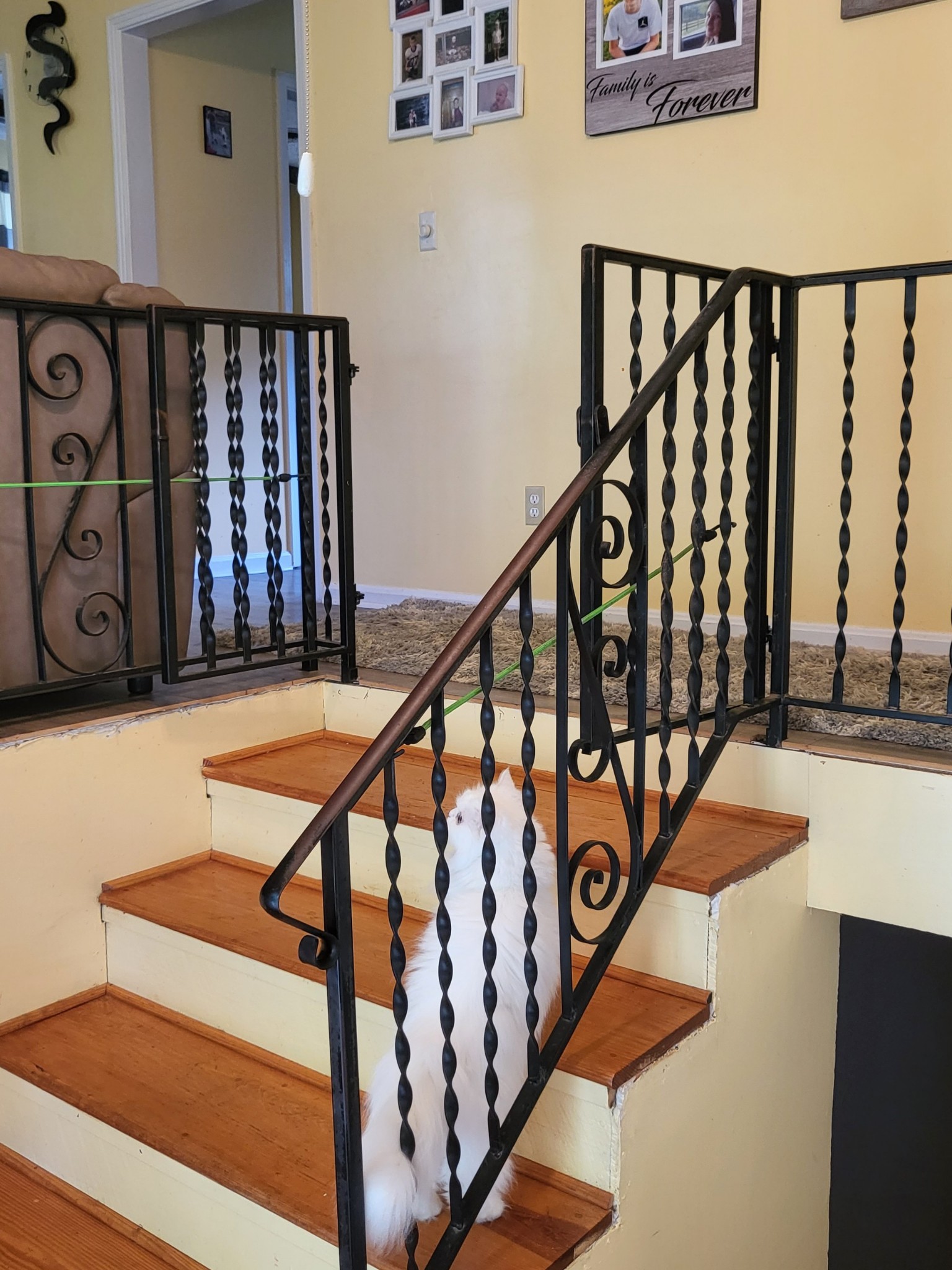 1393 Pomona Road Dickson, TN 37055 - Photo 14 of 32 a view of entryway