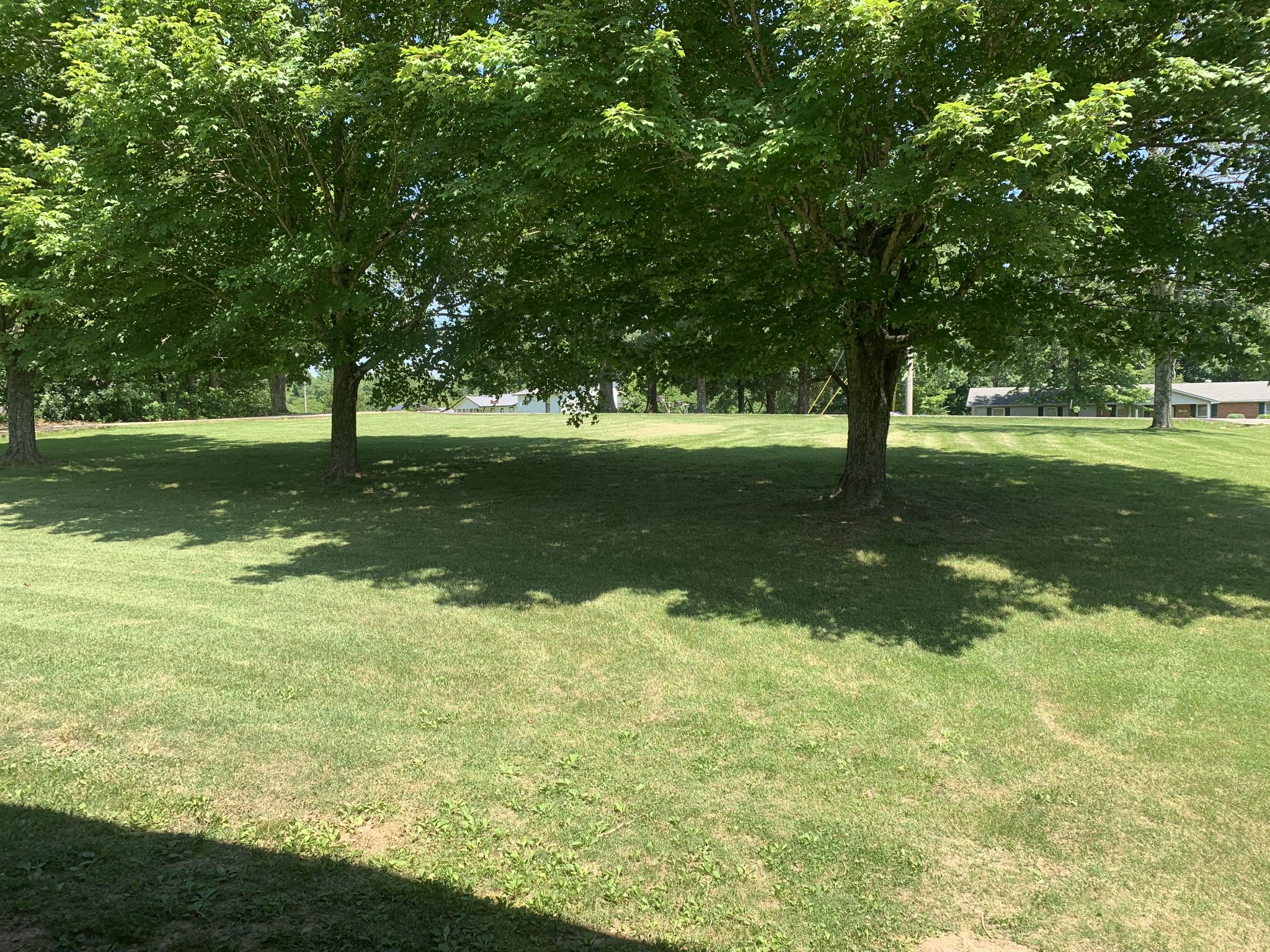 1393 Pomona Road Dickson, TN 37055 - Photo 6 of 32 a view of a trees in a yard