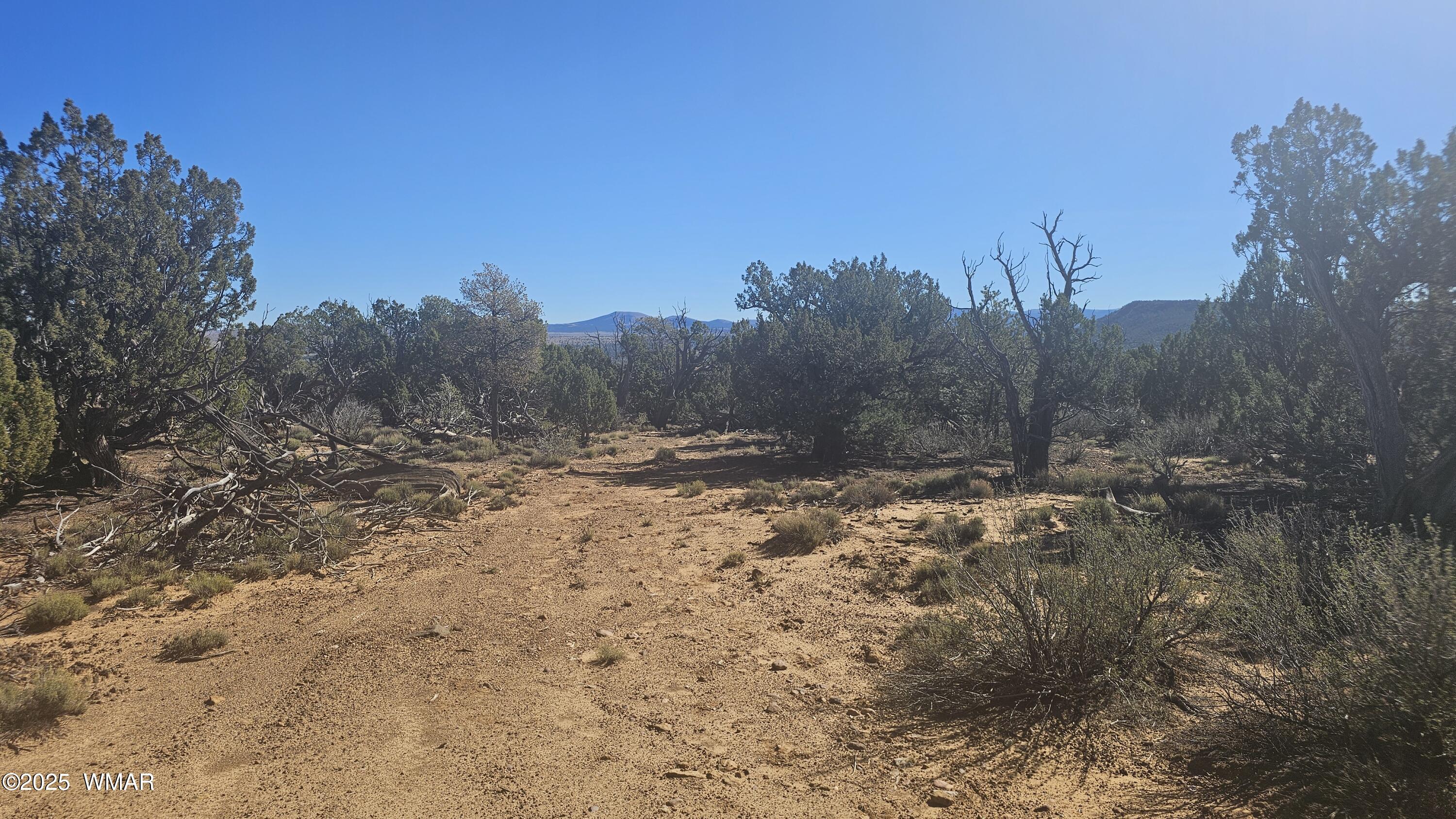 4 County Road Concho, AZ 85924 - Photo 27 of 28