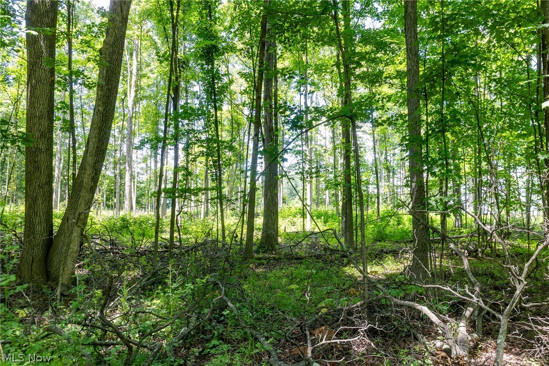 Wayland Road Diamond, OH 44412 - Photo 7 of 20