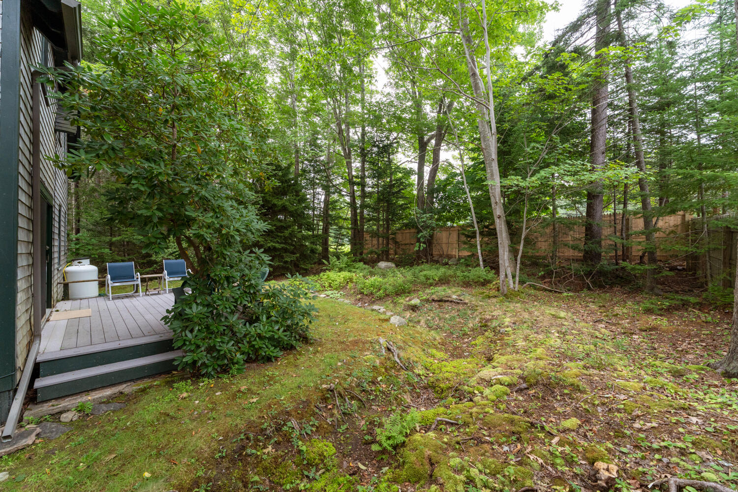 29 Millbrook Road Northeast Harbor, ME 04662 - Photo 41 of 49 29_Millbrook_038