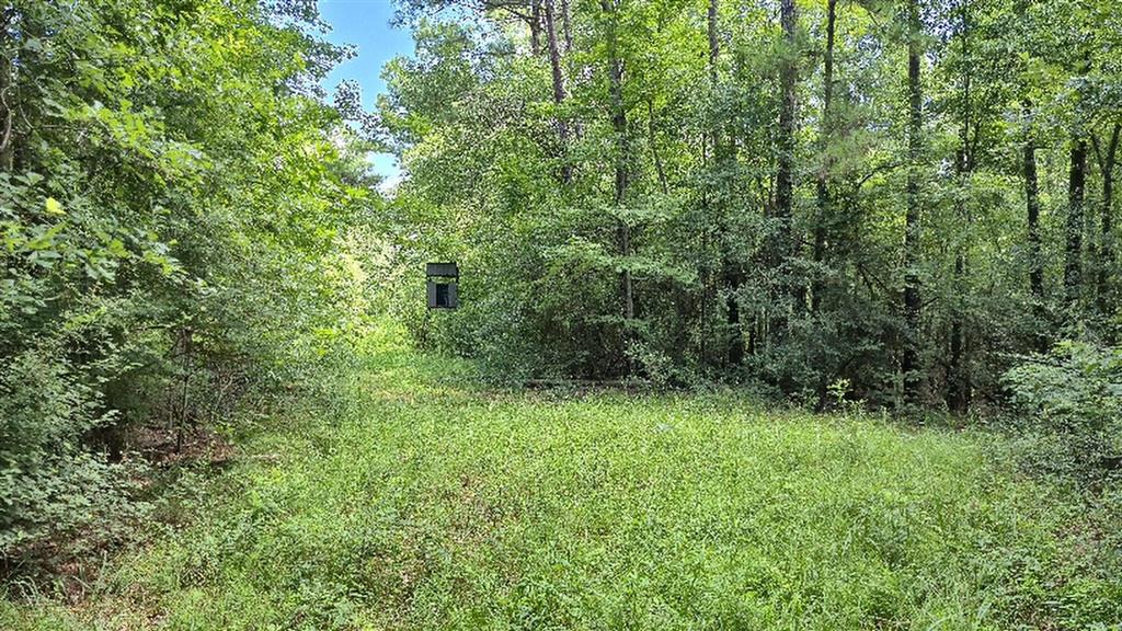 340 Adrian Guidry Road Longville, LA 70652 - Photo 2 of 10