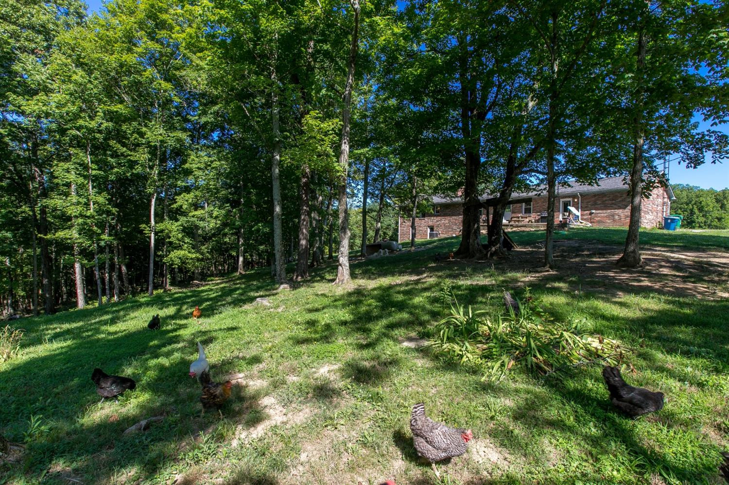 1011 Goshen Road Lawrenceburg, KY 40342 - Photo 39 of 56 Photo 39