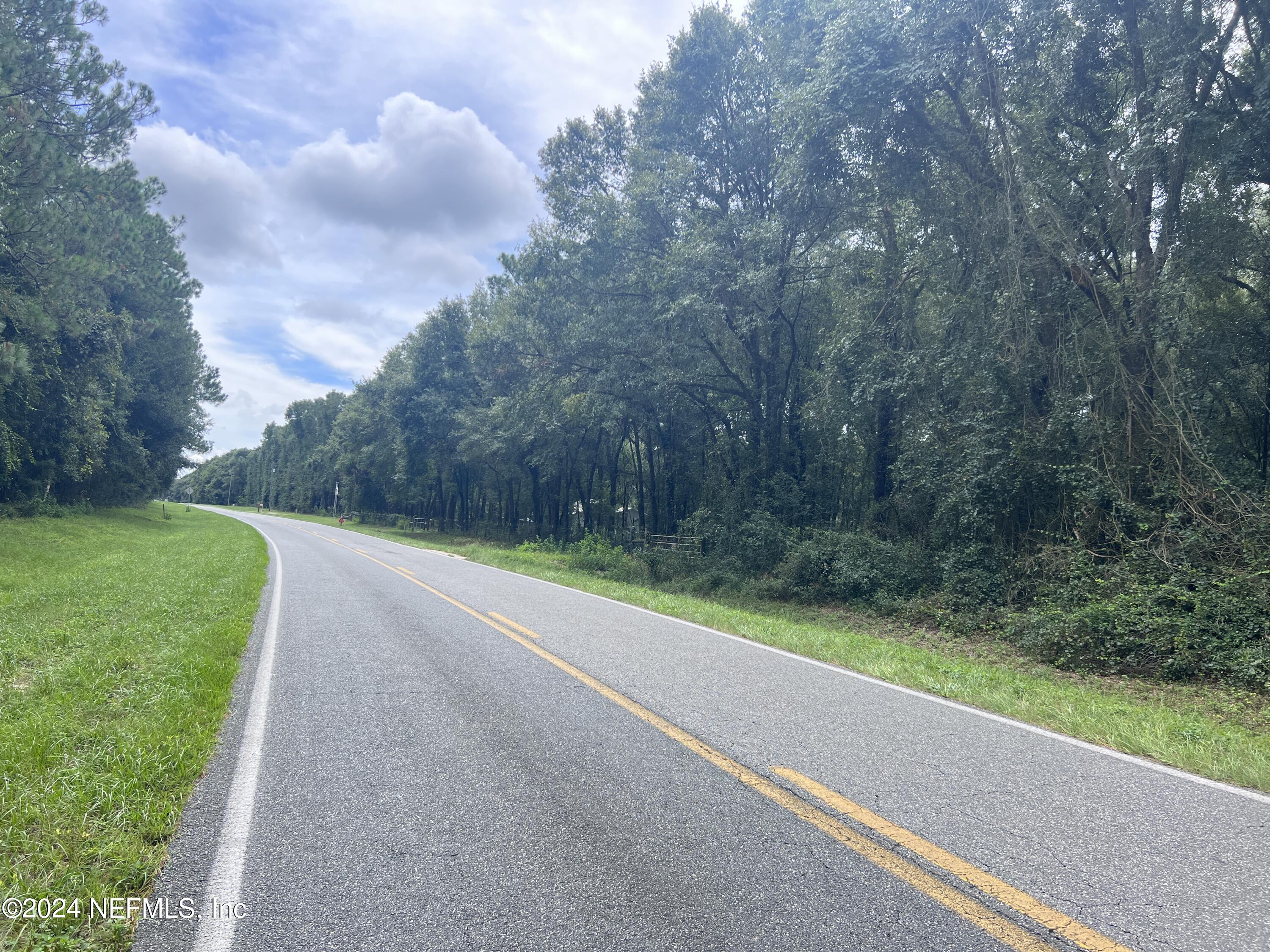 0 County Road North O'Brien, FL 32071 - Photo 3 of 10 a view of a garden with a trees