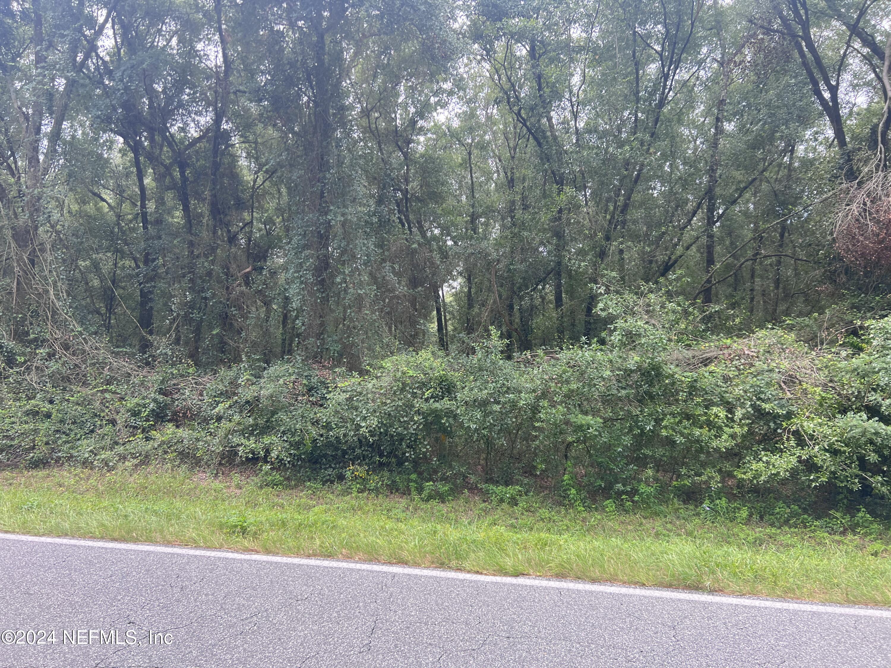 0 County Road North O'Brien, FL 32071 - Photo 4 of 10 a view of backyard with green space