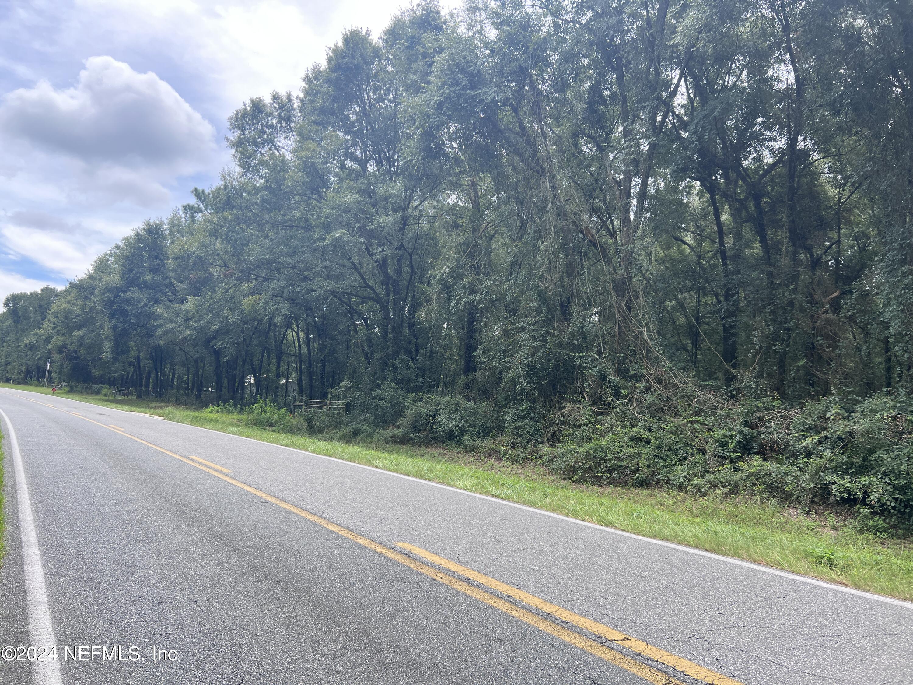 0 County Road North O'Brien, FL 32071 - Photo 7 of 10 a view of a yard with a trees
