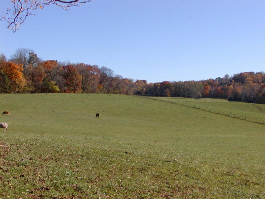 3 A Sliger Road Jonesborough, TN 37659 - Photo 1 of 10 Photo 1