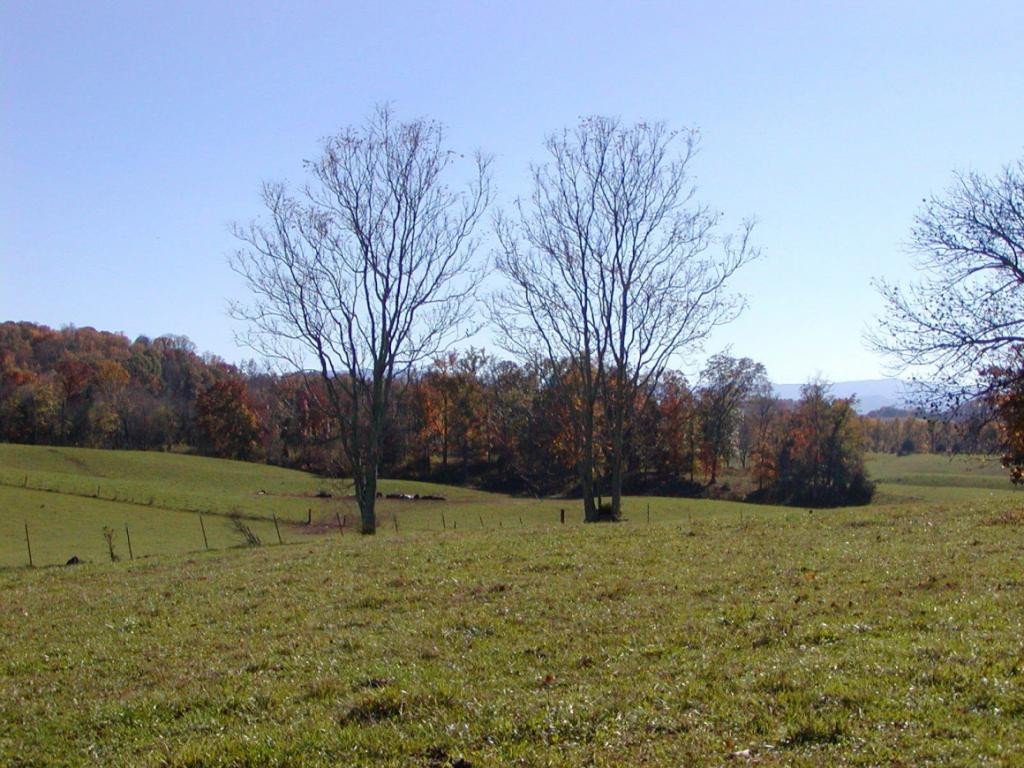 3 A Sliger Road Jonesborough, TN 37659 - Photo 2 of 10 Photo 2
