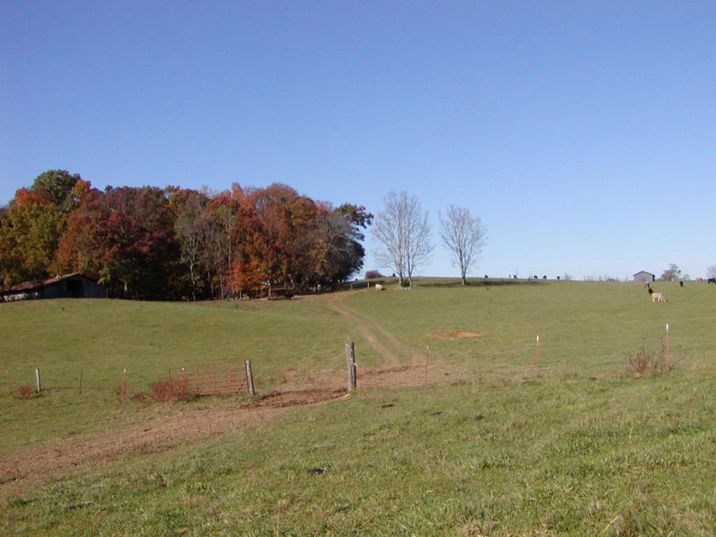 3 A Sliger Road Jonesborough, TN 37659 - Photo 3 of 10 Photo 3