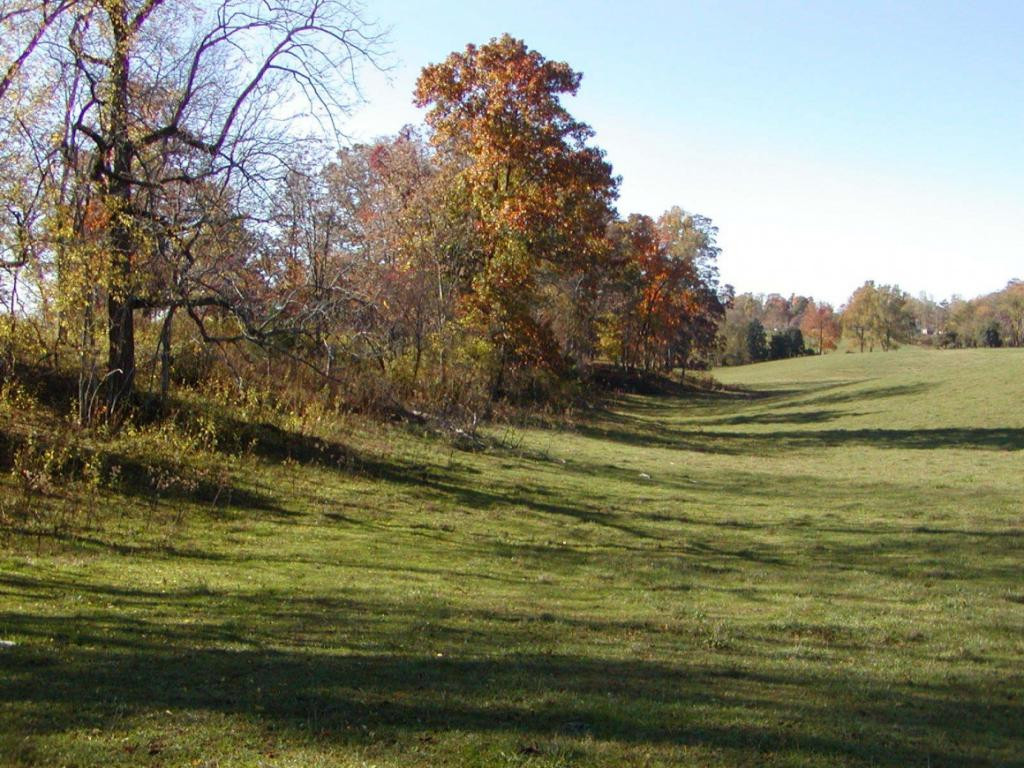 3 A Sliger Road Jonesborough, TN 37659 - Photo 4 of 10 Photo 4