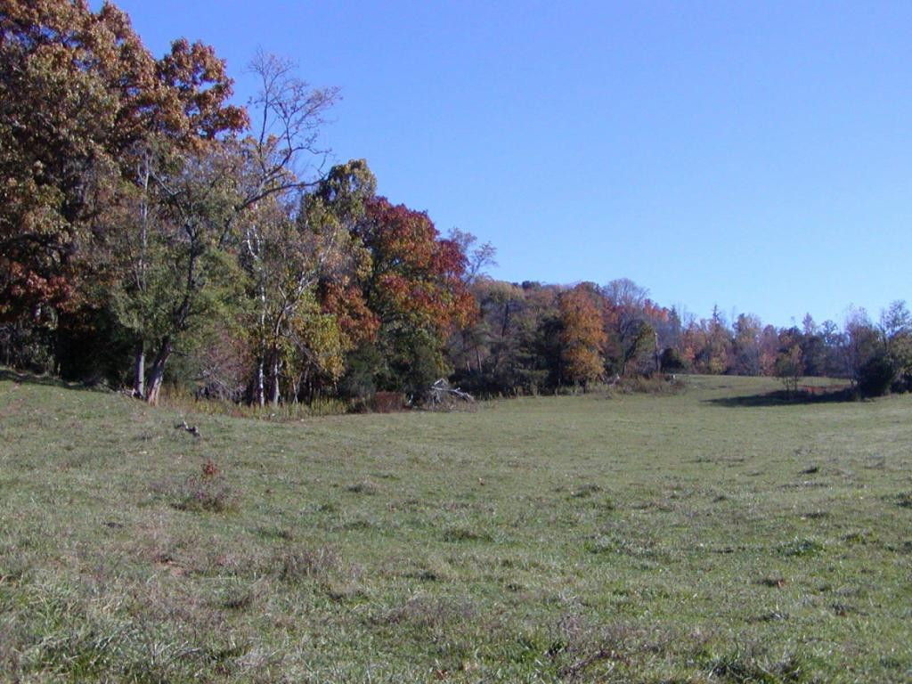 3 A Sliger Road Jonesborough, TN 37659 - Photo 6 of 10 Photo 6