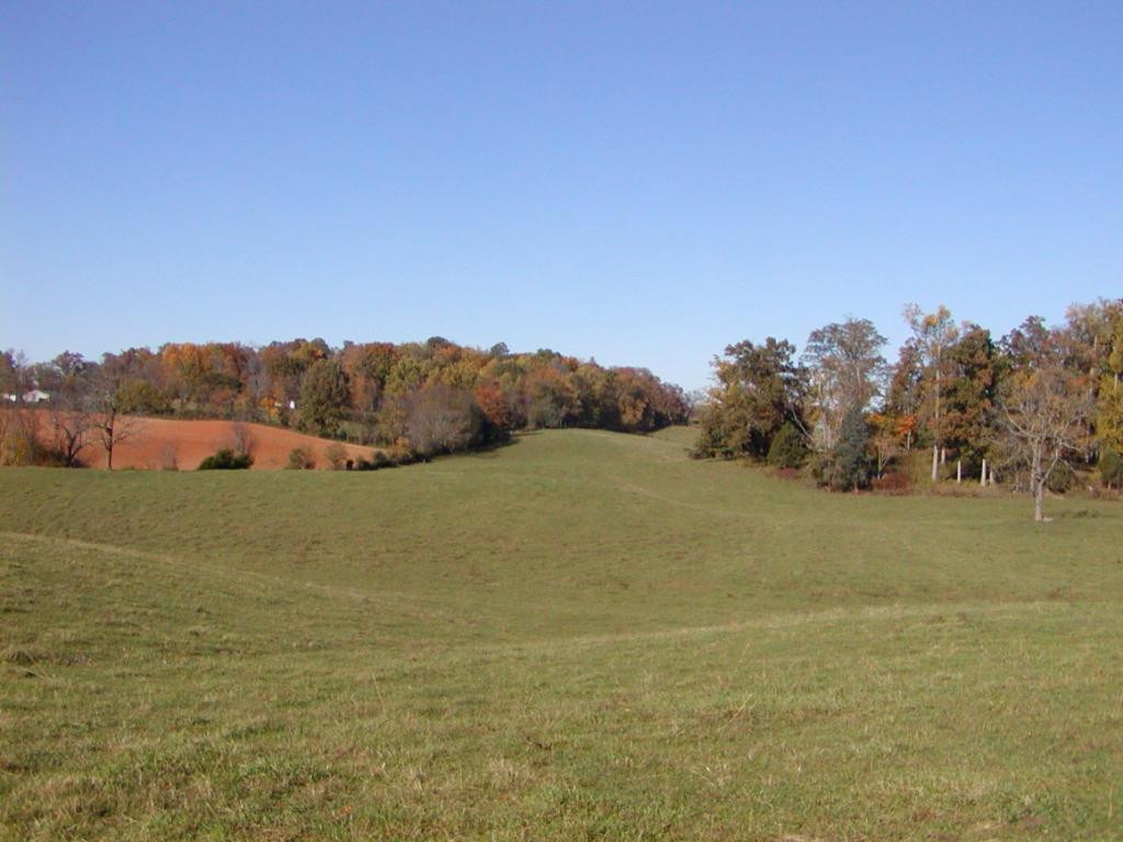 3 A Sliger Road Jonesborough, TN 37659 - Photo 8 of 10 Photo 8