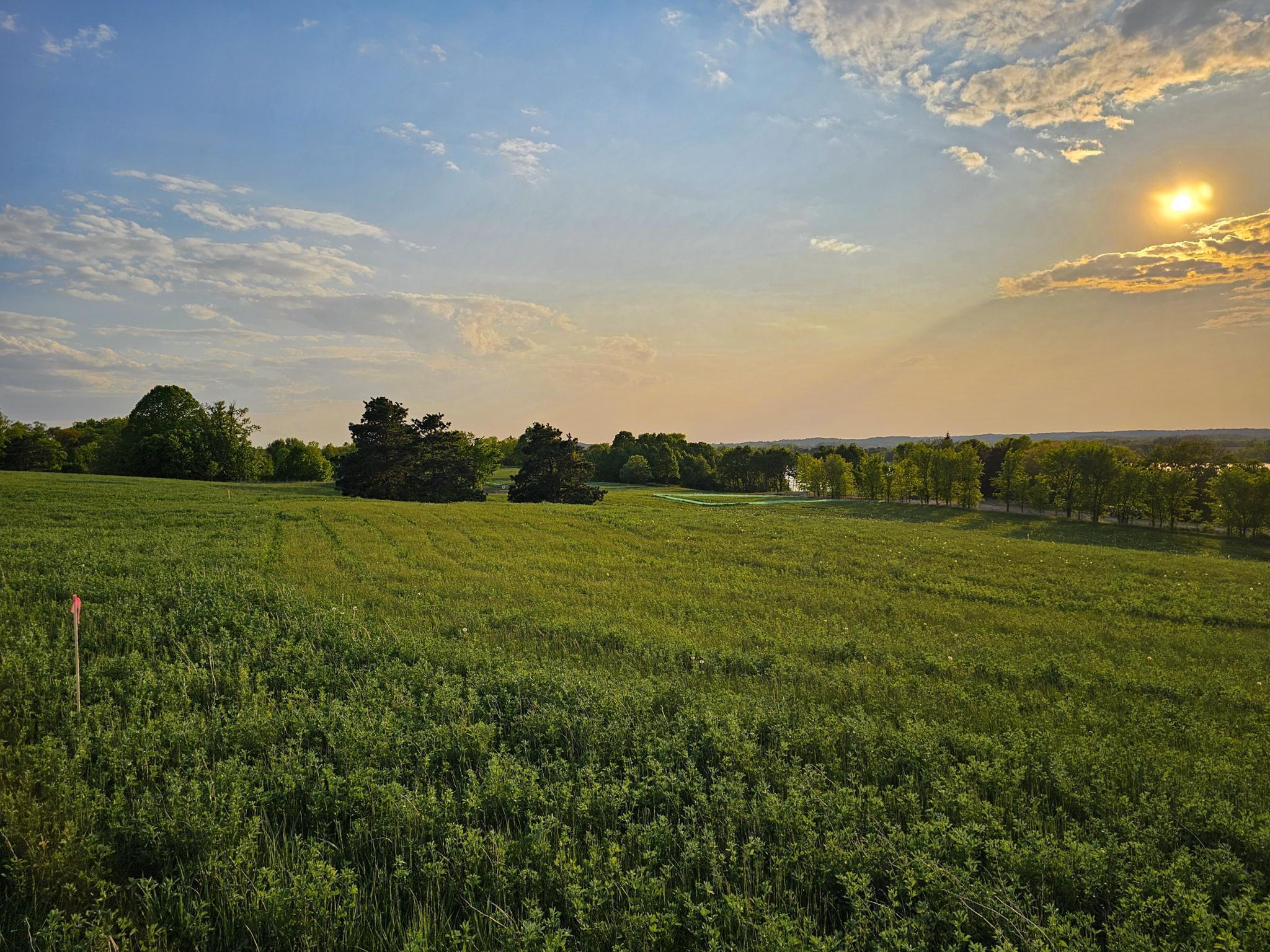 B1 452nd Street Vergas, MN 56587 - Photo 6 of 9