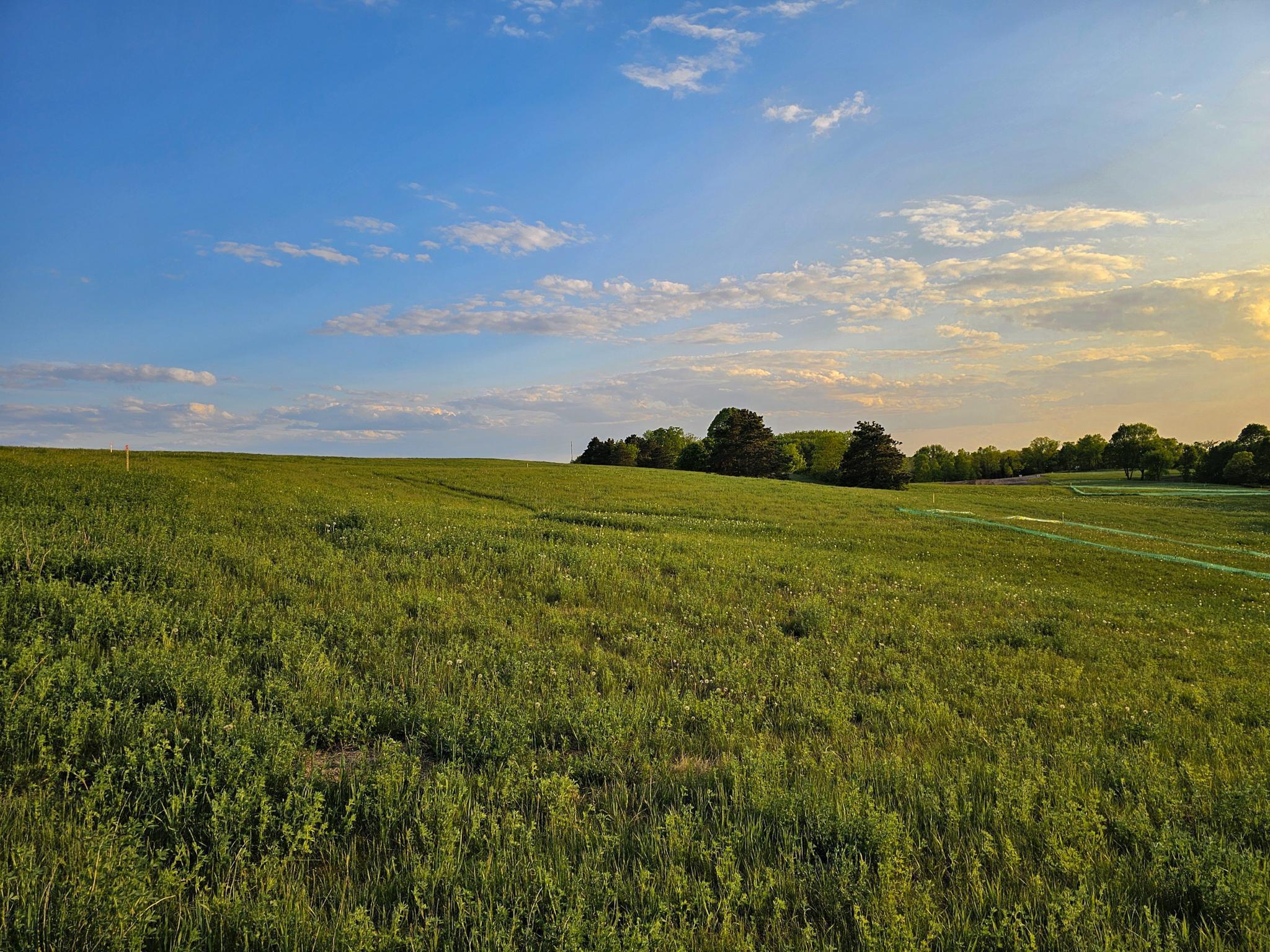 B1 452nd Street Vergas, MN 56587 - Photo 8 of 9