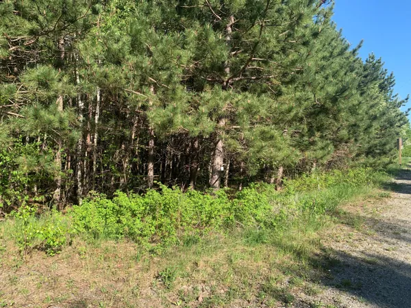 $69,900 | Lot 24 Grand View Drive, Dedham, ME 04429