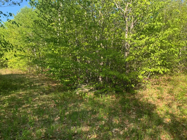 $69,900 | Lot 24 Grand View Drive, Dedham, ME 04429