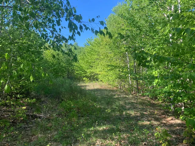 $69,900 | Lot 24 Grand View Drive, Dedham, ME 04429