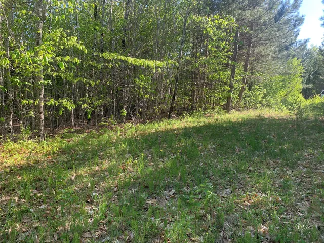 $69,900 | Lot 24 Grand View Drive, Dedham, ME 04429