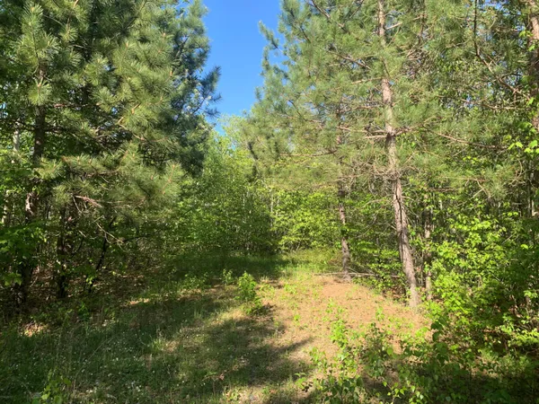 $69,900 | Lot 24 Grand View Drive, Dedham, ME 04429