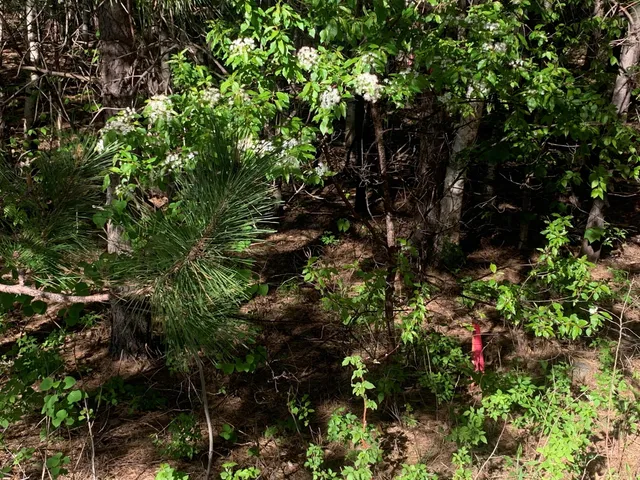 $69,900 | Lot 24 Grand View Drive, Dedham, ME 04429