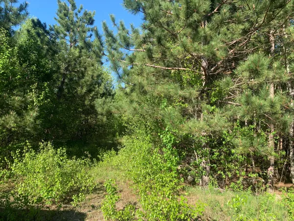 $69,900 | Lot 24 Grand View Drive, Dedham, ME 04429