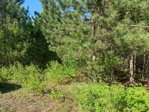 $69,900 | Lot 24 Grand View Drive, Dedham, ME 04429