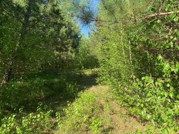 $69,900 | Lot 24 Grand View Drive, Dedham, ME 04429