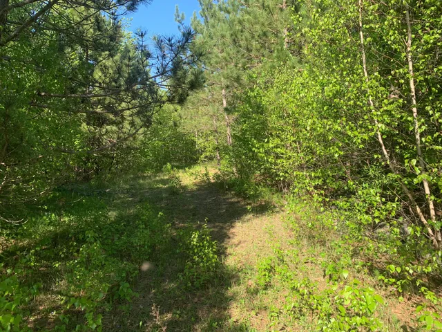 $69,900 | Lot 24 Grand View Drive, Dedham, ME 04429