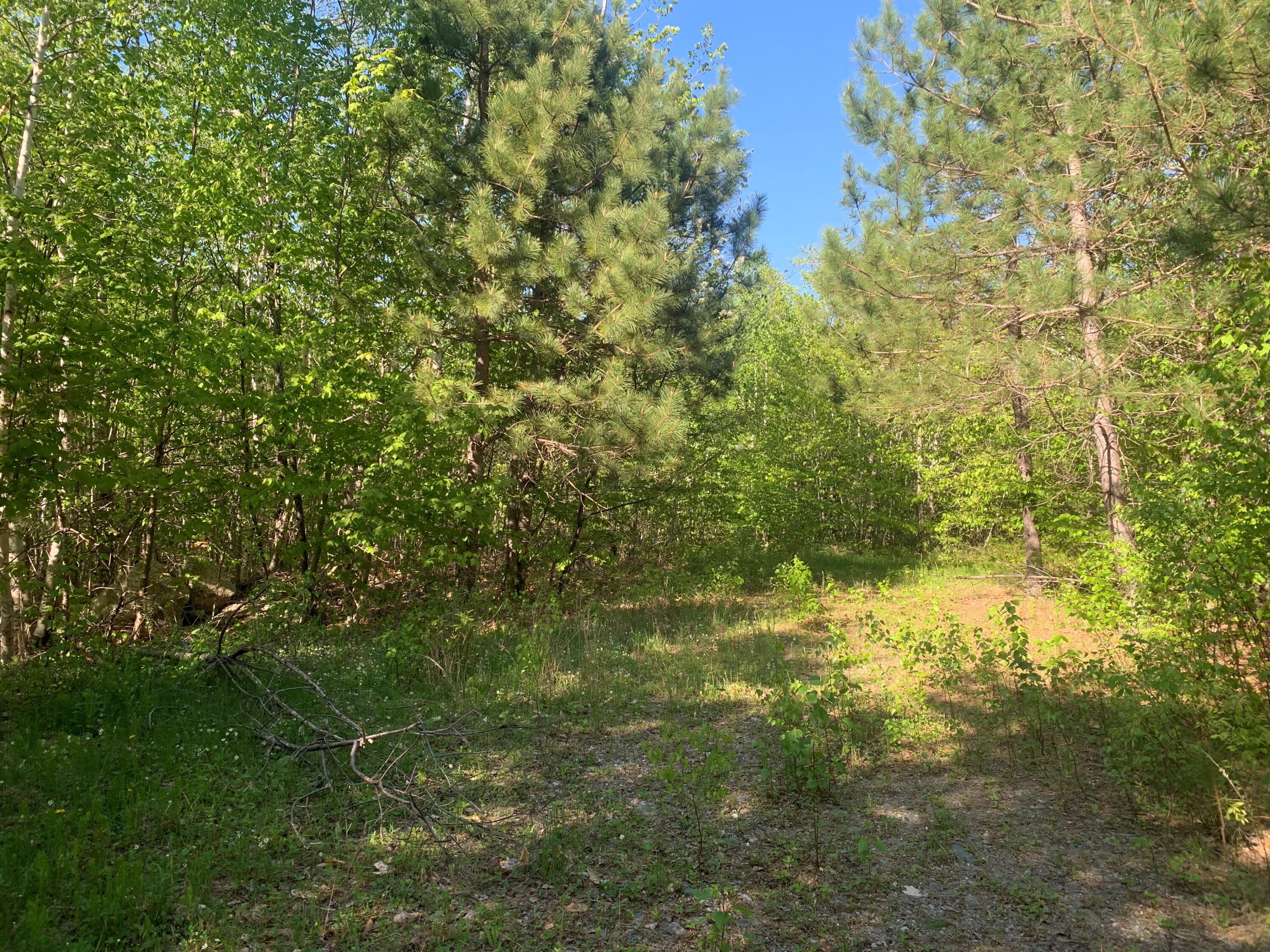 Lot 24 Grand View Drive Dedham, ME 04429 - Photo 6 of 15 MLS5