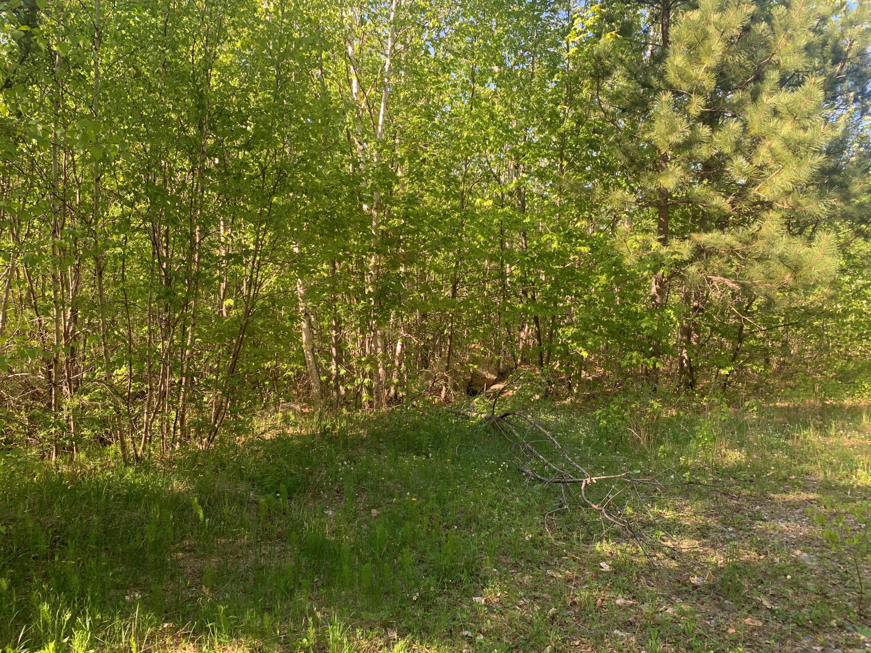 Lot 24 Grand View Drive Dedham, ME 04429 - Photo 7 of 15 MLS6