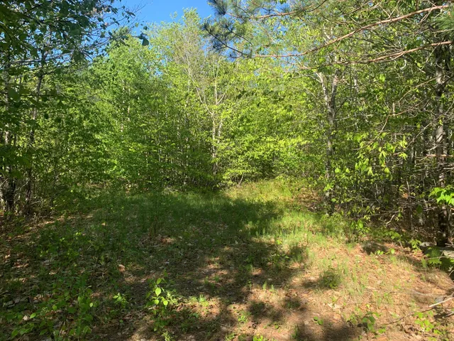 $69,900 | Lot 24 Grand View Drive, Dedham, ME 04429