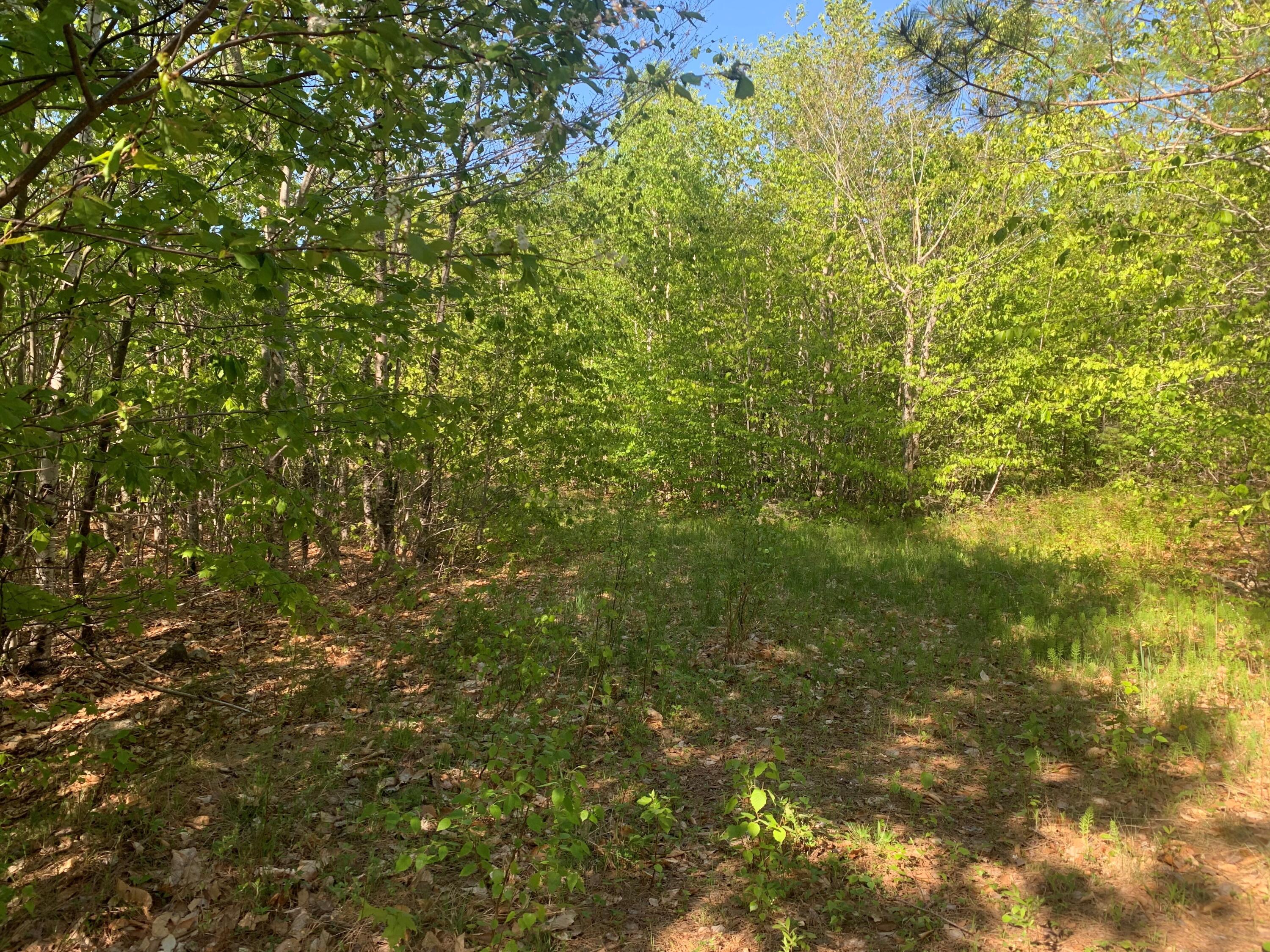 Lot 24 Grand View Drive Dedham, ME 04429 - Photo 9 of 15 MLS8