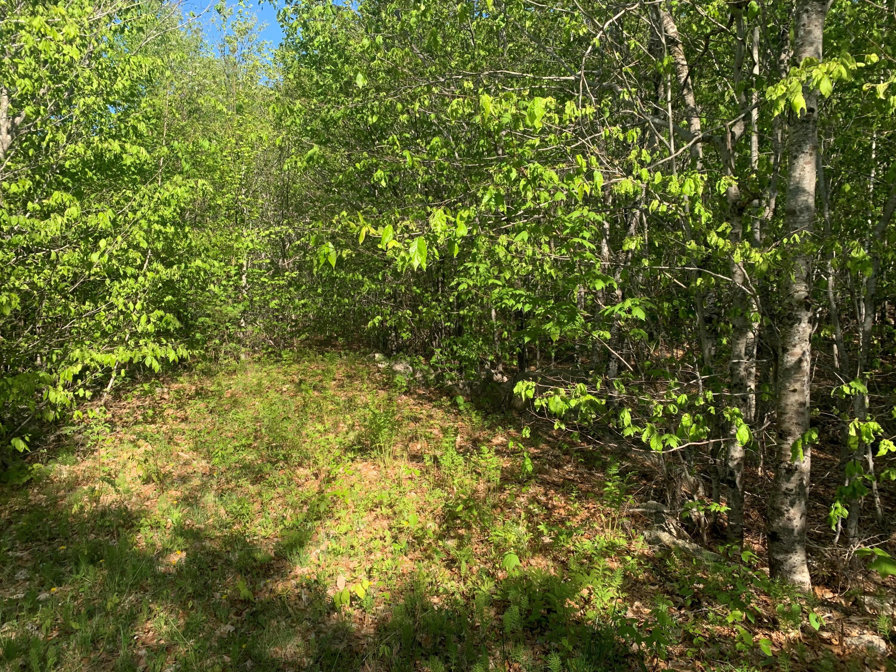 Lot 24 Grand View Drive Dedham, ME 04429 - Photo 10 of 15 MLS9