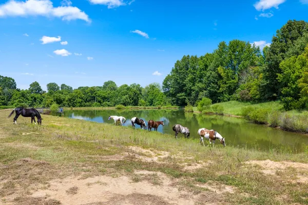 a view of a lake with houses