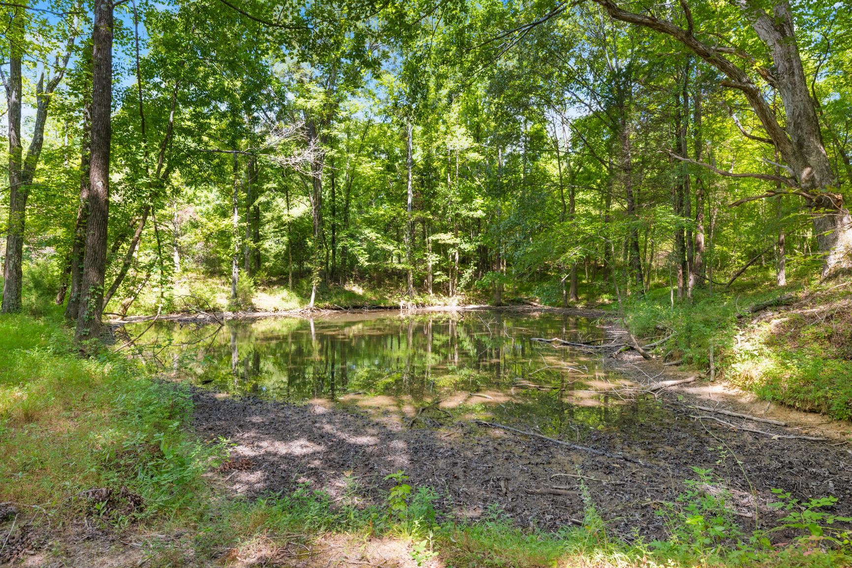 8508 Campground Road Drummonds, TN 38023 - Photo 17 of 31 a view of a forest with a tree